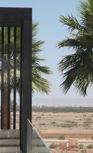 8babdaf9-10d9-41d6-9ccb-c81631c43883